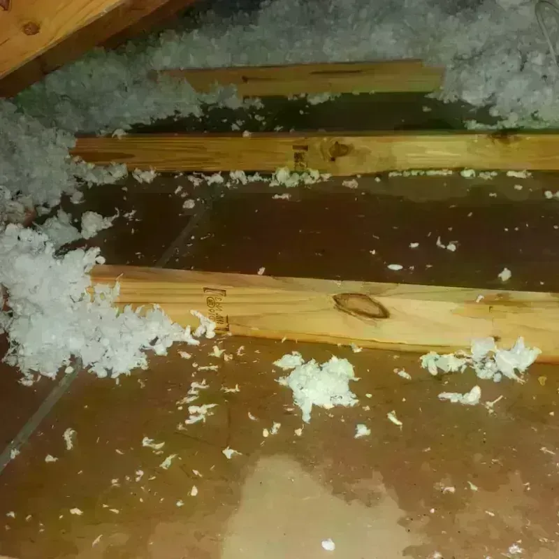 Attic Water Damage in Lebanon, MO