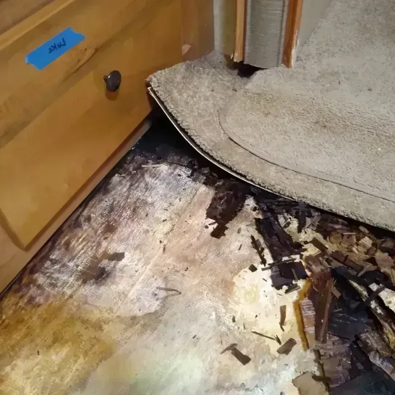 Wood Floor Water Damage in Lebanon, MO